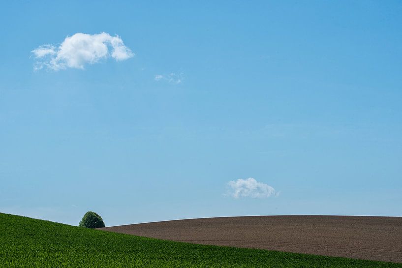 Un arbre par Marian Smeets