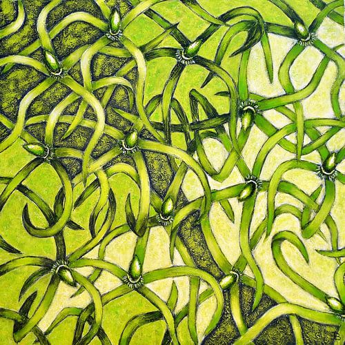 Bloemenzee groen