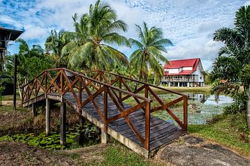 Villa in Frederiksdorp Suriname van Michel Groen