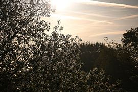 Het gouden uur op een mistige ochtend van BtBclicks