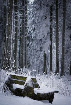 Bankje in de sneeuw in Winterberg (Duitsland) van Capturedby_Kim