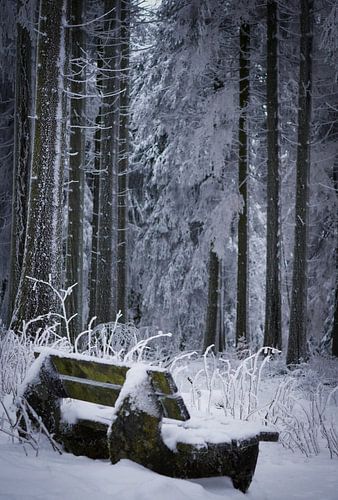 Bank im Schnee in Winterberg (Deutschland)