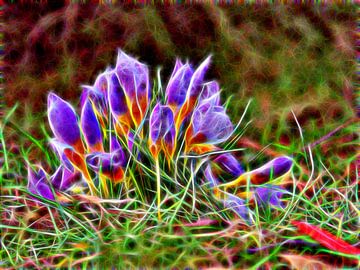 Peinture de crocus