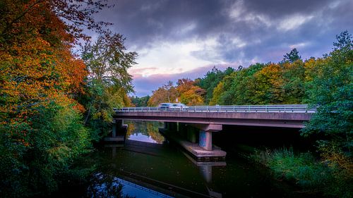 Autumn view Robbennoord forest viaduct a7