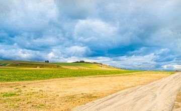 Verlassene unbefestigte Straße in der französischen Region Champagne mit Weinplantagen im Hintergrun von Ivo de Rooij