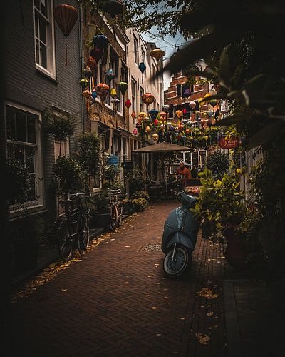Reigerstraat Middelburg