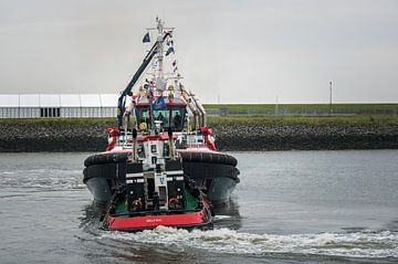 Waterland and Water City DelfSail 2024 by Jan Georg Meijer