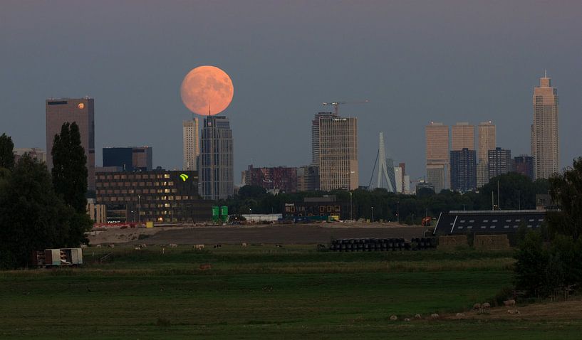 Rotterdam full moon by Brandon Bouwman