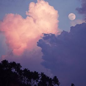 Pink Moon Paradise van Ward Jonkman