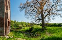 Donjon Nijenbeek - 3