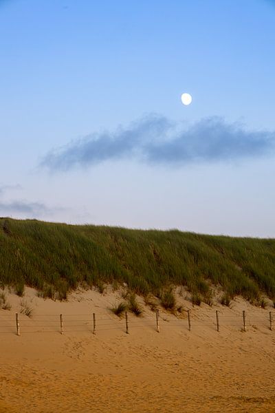 Moon over the dunes by Michael Ruland