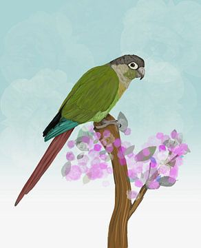 Green-cheeked conure on a blossom branch by Bianca Wisseloo
