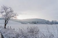 Sonnige Winterlandschaft