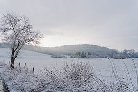 Sunny winter landscape by Stefanie Hürrich