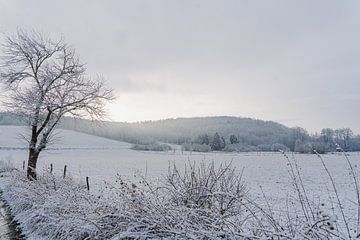Zonnig winterlandschap van Stefanie Hürrich