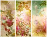 Triptychon mit malerischen Blumen. von Saskia Dingemans Awarded Photographer Miniaturansicht
