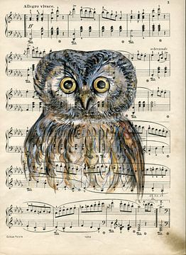 Owl van sarah Loecker