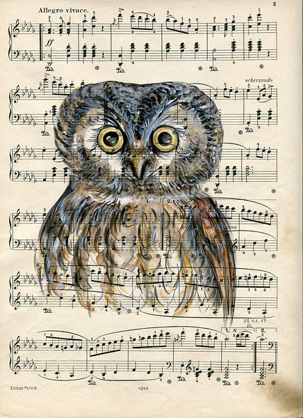 Owl van sarah Loecker