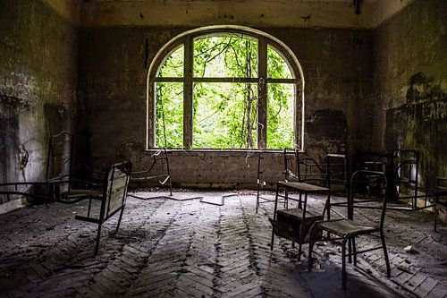 Verlassenes Zimmer mit Efeu-Fenster in Beelitzer Heilstätten
