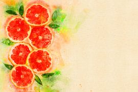 Schijven grapefruit (waterverf)