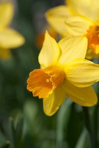 april
