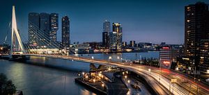 Panorama skyline Rotterdam van Marjolein van Middelkoop