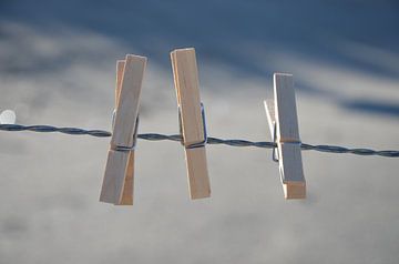 Wasknijpers van Corinna Vollertsen