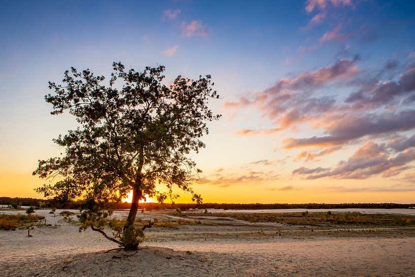 Zonsondergang in de Loonse en Drunense Duinen van Evelien Oerlemans