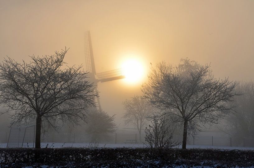 misty by Corinne Alferink