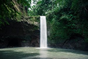 Wasserfall im Dschungel in Bali von road to aloha