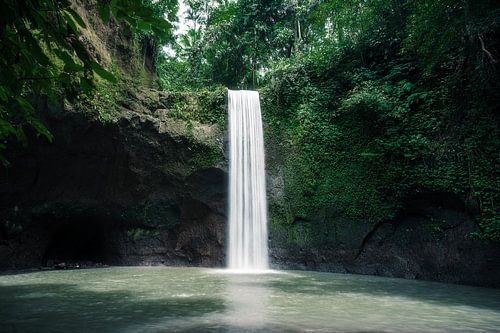 Cascade dans la jungle à Bali