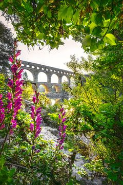 Pont Du Gard by Voss photography