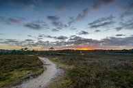 Chemin à travers les landes vers le soleil couchant par Sjoerd van der Wal Photographie Aperçu