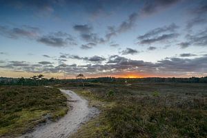 Weg durch die Moore der untergehenden Sonne entgegen von Sjoerd van der Wal Fotografie