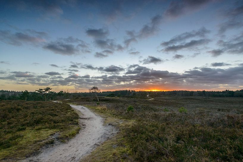 Chemin à travers les landes vers le soleil couchant par Sjoerd van der Wal Photographie