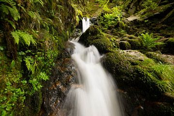 Cascade dans les Vosges sur Tanja Voigt