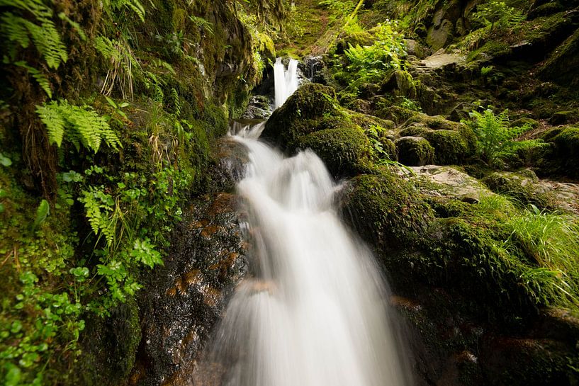 Waterfall in the Vosges by Tanja Voigt