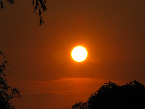 Stilleven met ondergaande zon