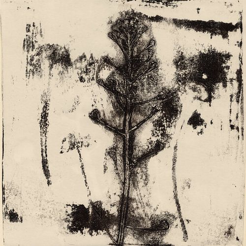 Vintage botanische prints. Zomerbloemen.