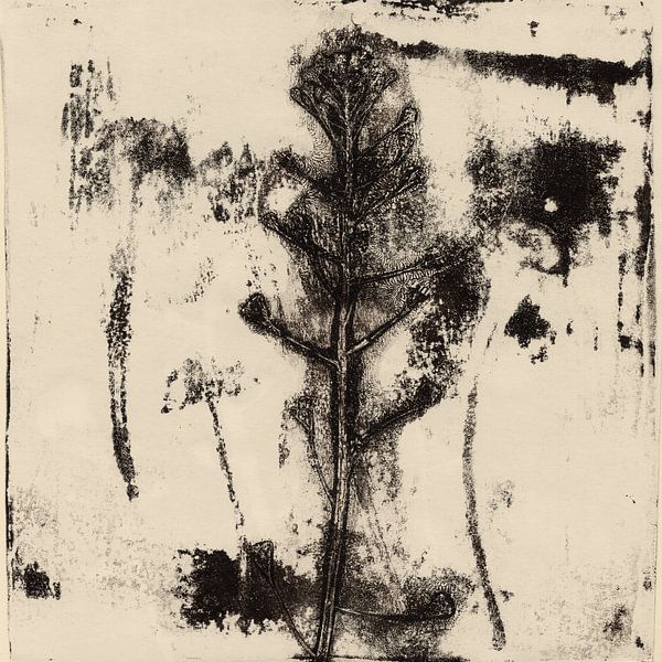 Vintage botanical prints. Summer flower. by Dina Dankers