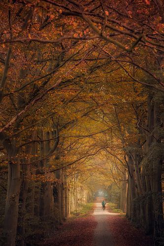 Herfst