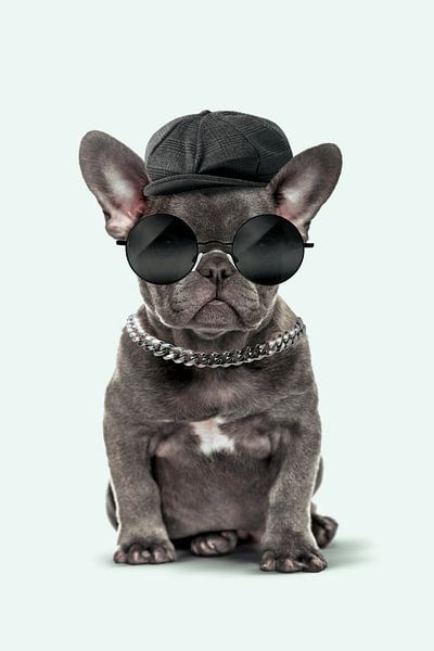 Fashion Dog von Jonas Loose
