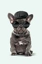 Fashion Dog von Jonas Loose Miniaturansicht