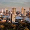 Rotterdam Erasmus Bridge by John Ouwens
