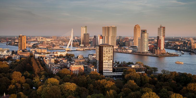 Rotterdam Erasmus Bridge by John Ouwens