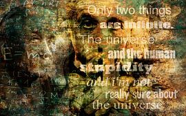 Albert Einstein von Stef van Campen