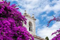 Igreja de Santa Luzia von Jaco Verheul Miniaturansicht