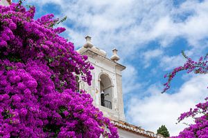 Igreja de Santa Luzia
