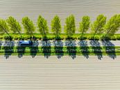 Weg in een landelijk landschap van bovenaf gezien van Sjoerd van der Wal Fotografie thumbnail