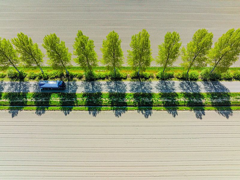 Weg in een landelijk landschap van bovenaf gezien van Sjoerd van der Wal Fotografie